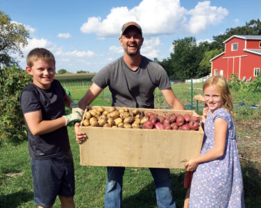 Root Vegetable Storage Boxes Image